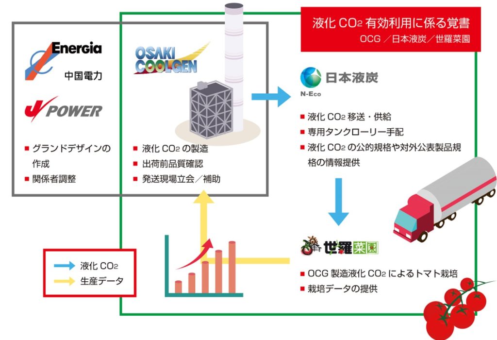石炭ガス化燃料電池複合発電所から回収したCO2を有効利用