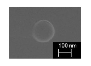 CDH™より発生する CO₂バブル電子顕微鏡写真
