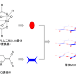 電子供与性分子（水車型ルテニウム錯体）と電子受容性分子（TCNQ 誘 導体）から合成される層状化合物の模式図