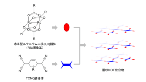 電子供与性分子（水車型ルテニウム錯体）と電子受容性分子（TCNQ 誘 導体）から合成される層状化合物の模式図