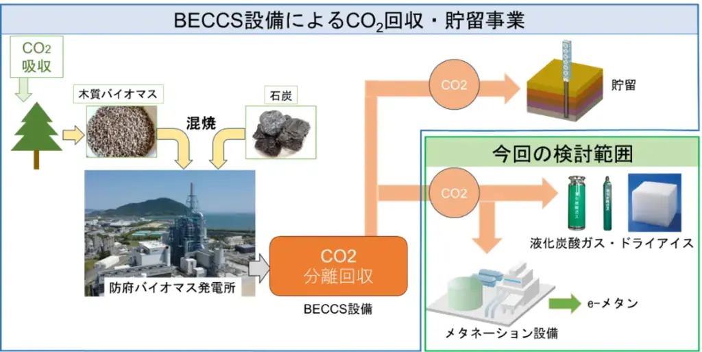 BECCS設備からのCO2利活用のイメージ